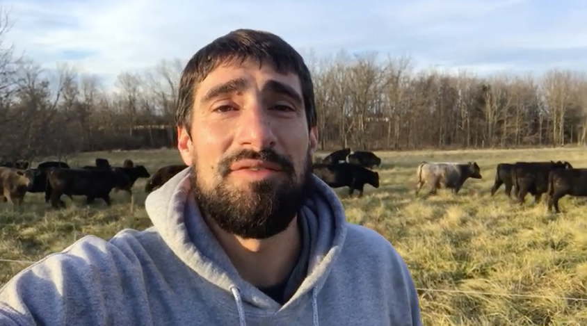 What do Grassfed Cattle Eat During Winter?